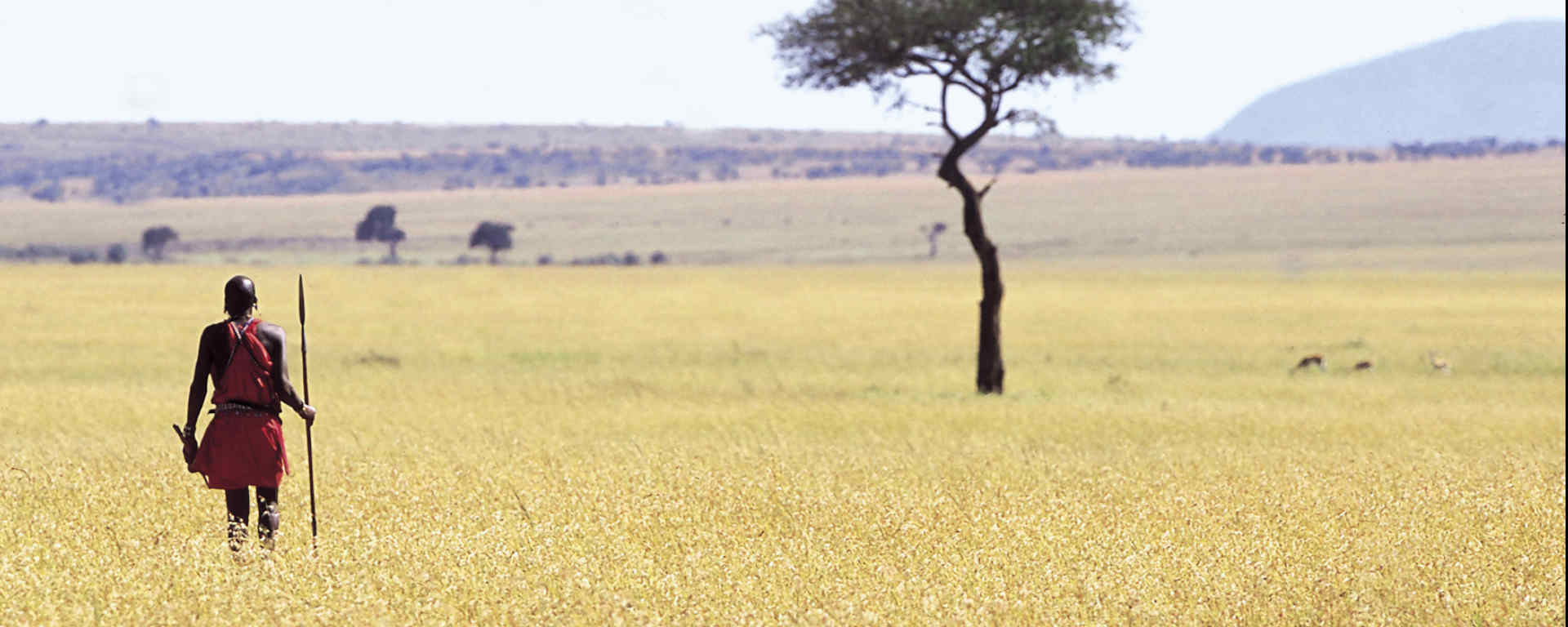 Masaï dans la savane africaine guettant des antilopes